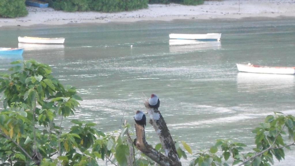 Bay View Villa Seychelles Anse Boileau Esterno foto